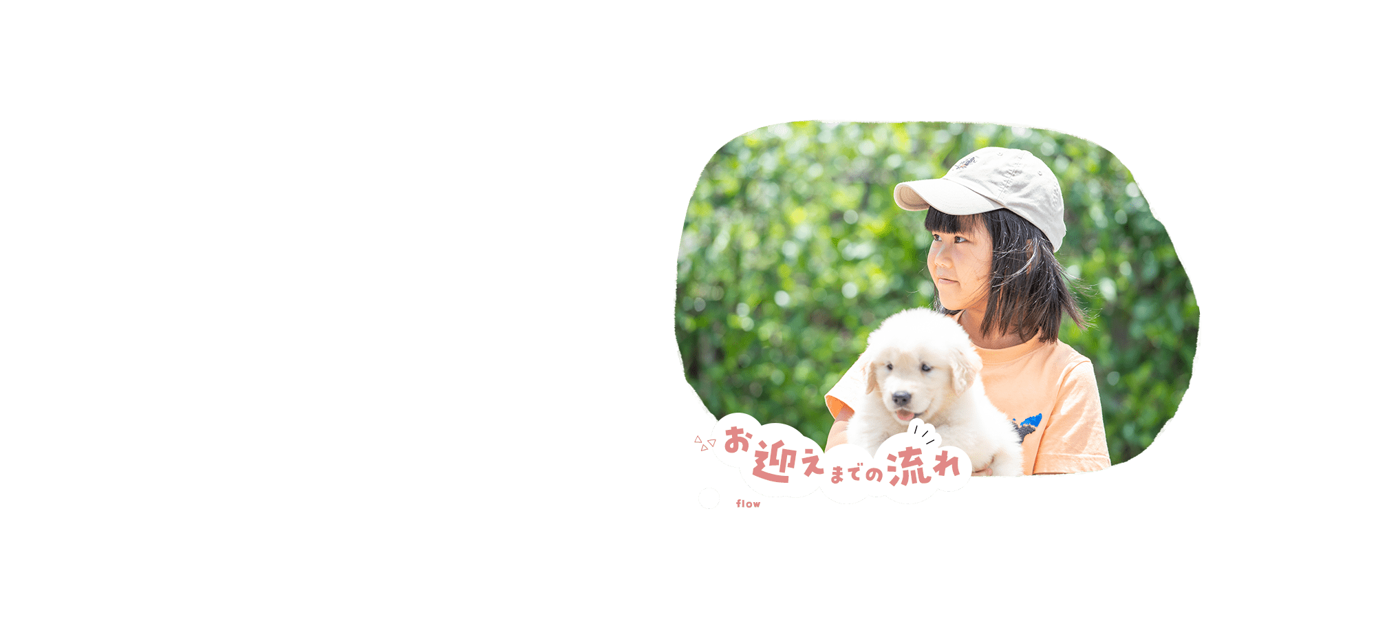 お迎えまでの流れ