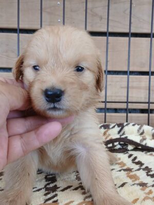1779608282756.jpg